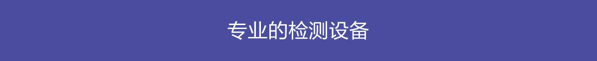 wangzhan-检测-拷贝.jpg